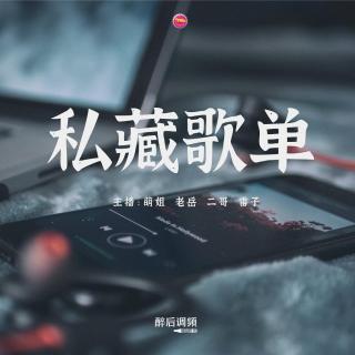 醉后调频 - 醉后的私藏音乐分享part2