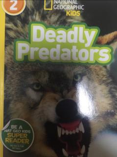 Deadly Predators