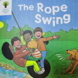 3-11 The Rope Swing