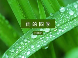 102 张梓嫣 《雨的四季》day4