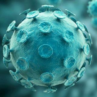 新型冠状病毒是怎么入侵人体的？