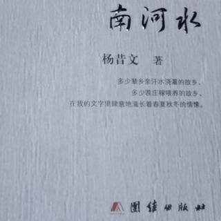 小说《南河水》作者：杨昔文 第九章 马铁匠葬妻