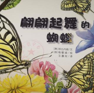 第120本绘本故事《翩翩起舞的蝴蝶》