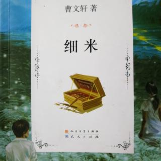 241 曹文轩作品（一）细米13