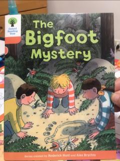 The Bigfoot mystery