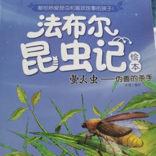 《法布尔昆虫记—萤火虫》砂泥蜂—天生的浪子