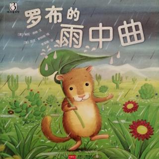 罗布的雨中曲