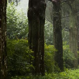 85陪诸贵公子丈八沟携妓纳凉晚际遇雨二首其一