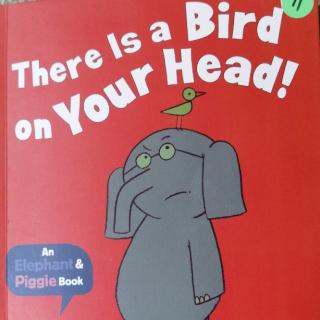 绘本阅读～There is a Bird on Your Head
