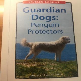 20200725 Guardian dogs penguin protectors