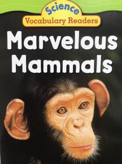 Science Vocabulary Readers - Marvelous Mammals