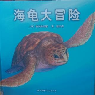 海龟大冒险