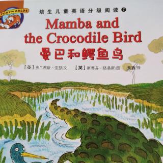 培生7 mamba and the crocodile bird