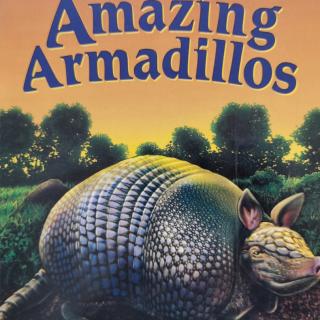 ARMADILLOS-2