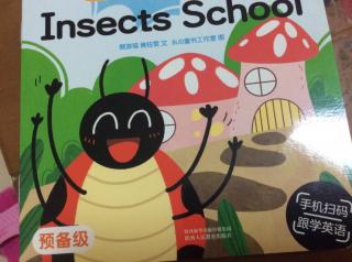 insects school