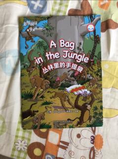 A bag in the jungle