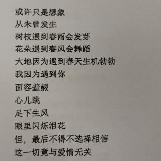 崖丽娟《猜谜》