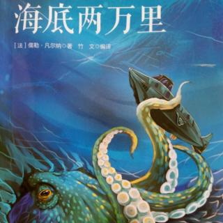 海底两万里(与章鱼的肉搏)