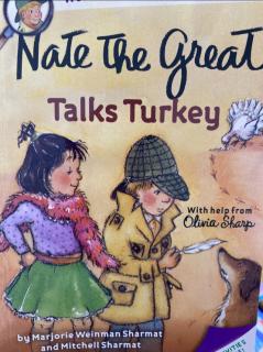 Nate talks Turkey-7&8