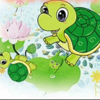 《小乌龟找妈妈》22