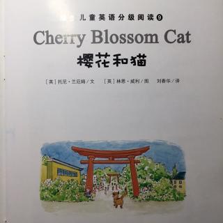 <Cherry Blossom Cat>