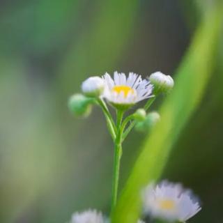 最重要的是“注重细节”