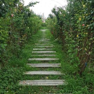 红瓦黑瓦第一章乔桉七