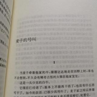 文青导读《麦子的号叫》