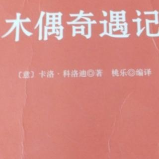 巧抓偷鸡贼。