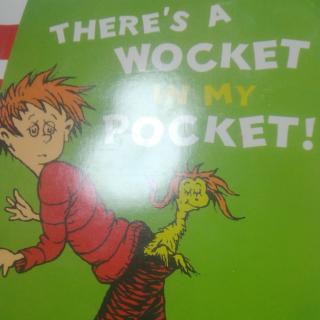 THERE'S  A  WOCKET  IN  MY  POCKET!