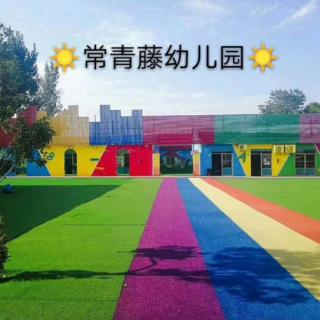 【常青藤幼儿园】【启明星幼儿园】睡前故事《小青蛙有了熊爸爸》