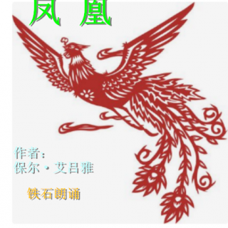 作者保凤凰尔艾吕雅法