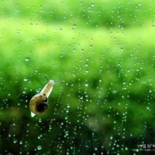 《盛夏，去约一场甘畅淋漓的雨吧》一江青水 朗诵：馨儿