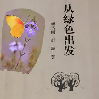 《致蝴蝶》（组诗）赖杨刚