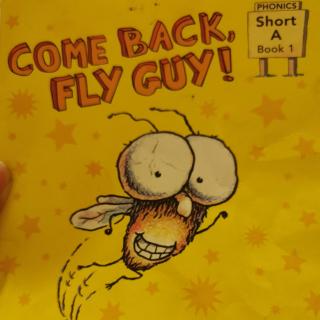 COME  BACK, FLY  GUY!