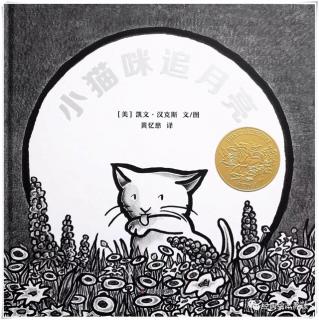 0111-《小猫咪追月亮》