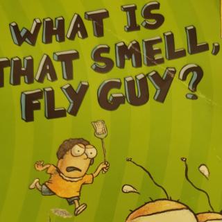 WHAT is that smell,Fly Guy？