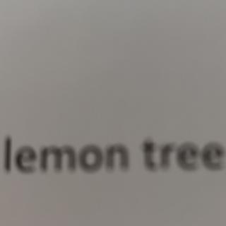 Lomen tree