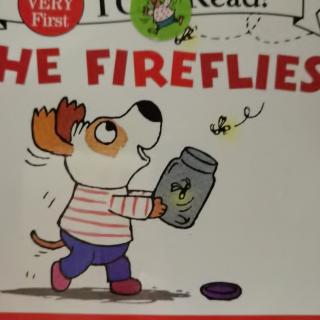 My very first I can read-The fireflies