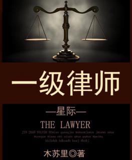 《一级律师》归程2