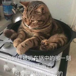 无人之岛