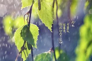 《昆明的雨》：汪曾祺