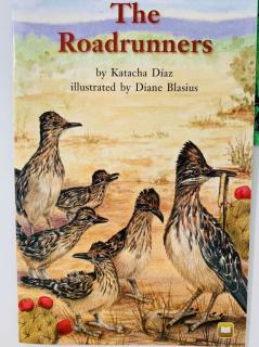 G2 103 The Roadrunners