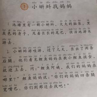 《小蝌蚪找妈妈》语文二年级上册