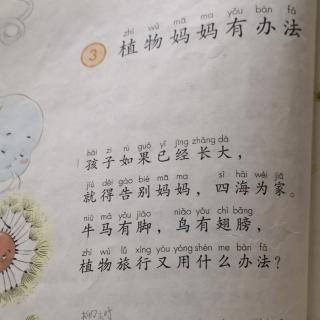 语文二年级上册《植物妈妈有办法》