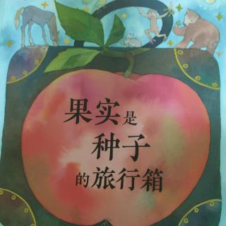 《果实是种子的旅行箱》~幼稚绘晚安绘本故事