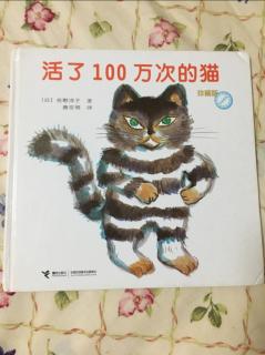 【晓路的故事盒子】《活了100万次的猫》