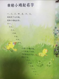 儿童诗14《我给小鸡起名字》