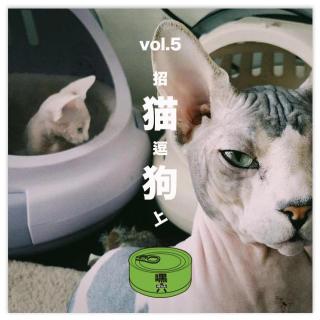 Vol05.招猫逗狗（上）