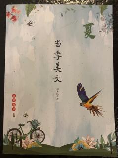 美文-7-30《绿》